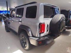 Tank 300 Off-Road Edition 2.0T Conqueror - ფოტო 5