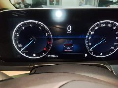 Buick GL8 ES Luxe 653T Prestige - ფოტო 12