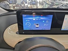 Wuling Binguo 333km Joy Edition - ფოტო 12