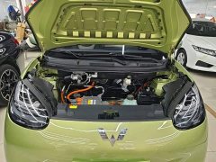 Wuling Binguo 333km Joy Edition - ფოტო 20