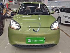 Wuling Binguo 333km Joy Edition - ფოტო 3