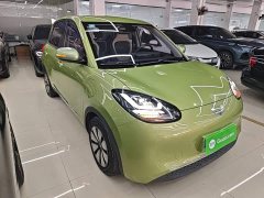 Wuling Binguo 333km Joy Edition - ფოტო 4