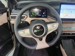BYD Seagull 2025 Smart Drive 305km Vitality Edition - ფოტო 11