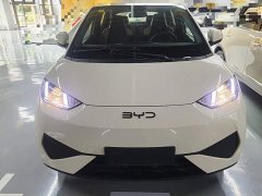 BYD Seagull 2025 Smart Drive 305km Vitality Edition - ფოტო 3