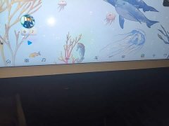 Arcfox Koala 2023 Family Pro - ფოტო 13