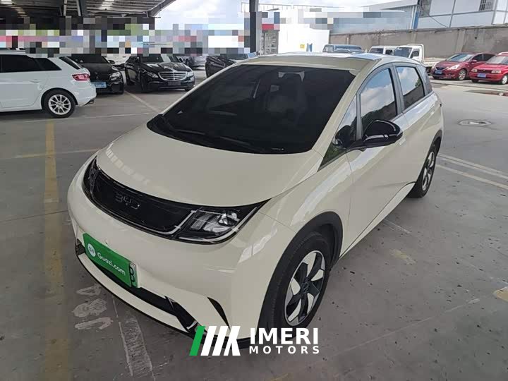 BYD Dolphin 420km Freedom Edition - ავტომობილი ჩინეთიდან