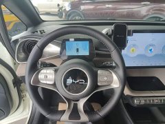 BYD Dolphin 420km Freedom Edition - ფოტო 11
