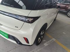BYD Dolphin 420km Freedom Edition - ფოტო 8
