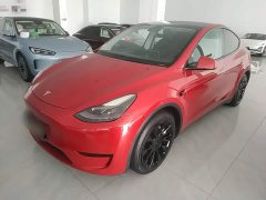 Tesla Model Y Rear-Wheel Drive - ფოტო 1