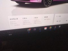 Tesla Model Y Rear-Wheel Drive - ფოტო 12