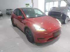 Tesla Model Y Rear-Wheel Drive - ფოტო 4