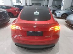 Tesla Model Y Rear-Wheel Drive - ფოტო 6