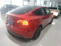 Tesla Model Y Rear-Wheel Drive - ფოტო 7