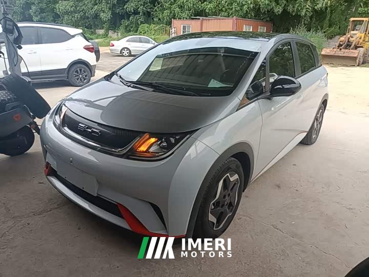 BYD Dolphin 405km Fashion Edition - ავტომობილი ჩინეთიდან