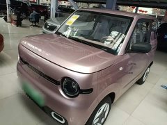 Geely Panda 2025 Panda Mini 210km Vitality Edition - ფოტო 1