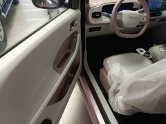Geely Panda 2025 Panda Mini 210km Vitality Edition - ფოტო 16