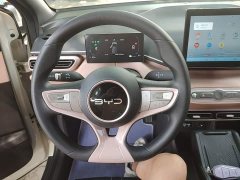 BYD Seagull Smart Drive 305km Vitality Edition - ფოტო 11