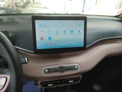 BYD Seagull Smart Drive 305km Vitality Edition - ფოტო 13