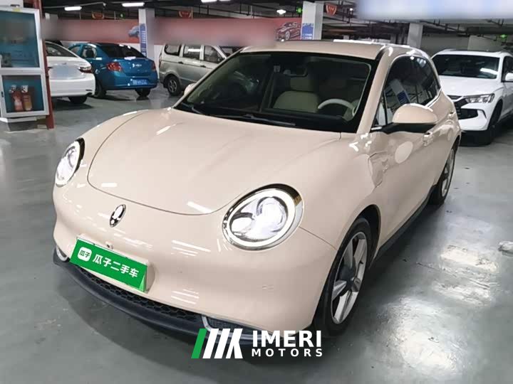ORA Good Cat 400km Standard Range Deluxe Edition LFP Battery - ავტომობილი ჩინეთიდან