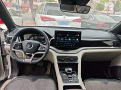 BYD Song Plus New Energy 2021 DM-i 51KM Premium Edition - ფოტო 10