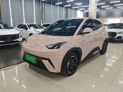 BYD Seagull 2023 Freedom Edition - ფოტო 1