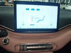 BYD Seagull 2023 Freedom Edition - ფოტო 13