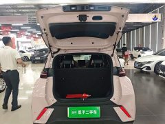 BYD Seagull 2023 Freedom Edition - ფოტო 19