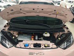 BYD Seagull 2023 Freedom Edition - ფოტო 20