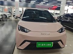 BYD Seagull 2023 Freedom Edition - ფოტო 3