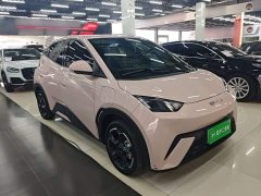 BYD Seagull 2023 Freedom Edition - ფოტო 4