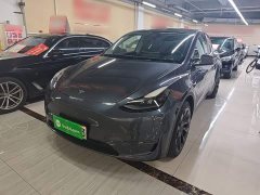 Tesla Model Y Long Range All-Wheel Drive 3D7 - ფოტო 1