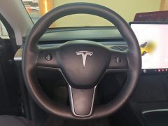 Tesla Model Y Long Range All-Wheel Drive 3D7 - ფოტო 11