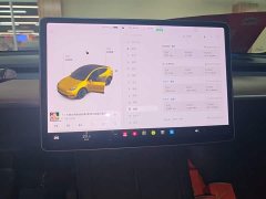 Tesla Model Y Long Range All-Wheel Drive 3D7 - ფოტო 13