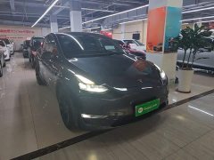 Tesla Model Y Long Range All-Wheel Drive 3D7 - ფოტო 4