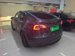 Tesla Model Y Long Range All-Wheel Drive 3D7 - ფოტო 5
