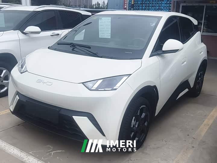 BYD Seagull 305km Freedom Edition