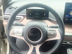 BYD Seagull 305km Freedom Edition - ფოტო 11