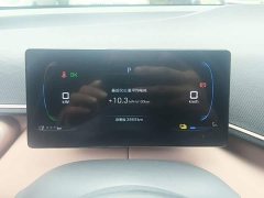 BYD Seagull 305km Freedom Edition - ფოტო 12