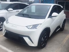BYD Seagull 305km Freedom Edition - ფოტო 2