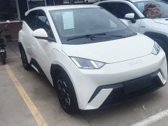 BYD Seagull 305km Freedom Edition - ფოტო 4