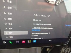 Tesla Model Y 2022 Facelift Rear-Wheel Drive - ფოტო 12