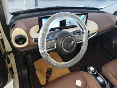 Wuling Binguo 2023 333km Joy Edition - ფოტო 11