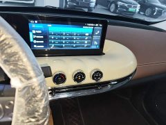 Wuling Binguo 2023 333km Joy Edition - ფოტო 13
