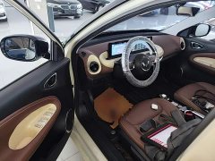 Wuling Binguo 2023 333km Joy Edition - ფოტო 16