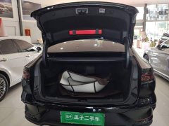 BYD Han DM-i 125KM Luxury - ფოტო 19