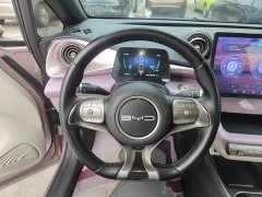 BYD Dolphin 2023 420km Fashion Edition - ფოტო 11