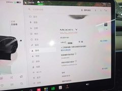 Tesla Model Y 2022 Performance All-Wheel Drive - фото 12