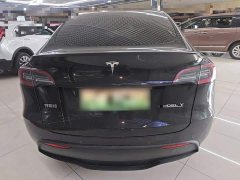 Tesla Model Y 2022 Performance All-Wheel Drive - фото 6