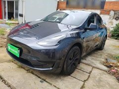Tesla Model Y Rear-Wheel Drive - ფოტო 2