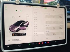 Tesla Model 3 Rear-Wheel Drive - ფოტო 12